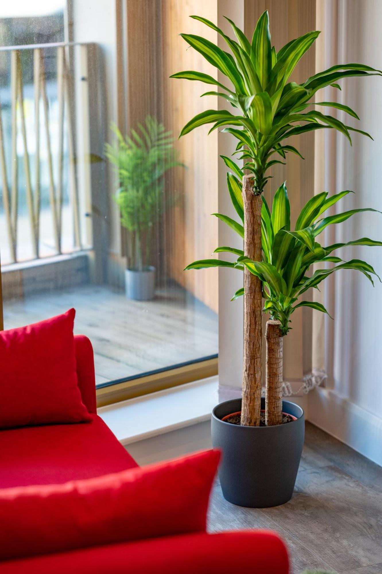 Luxe Retreat * Londra